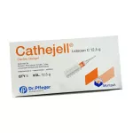 Катеджель с лидокаином 12,5г гель шприц-туба №5